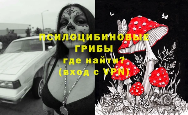 круглые Инсар