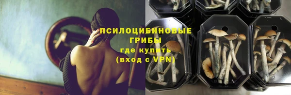 MDMA Premium VHQ Инта