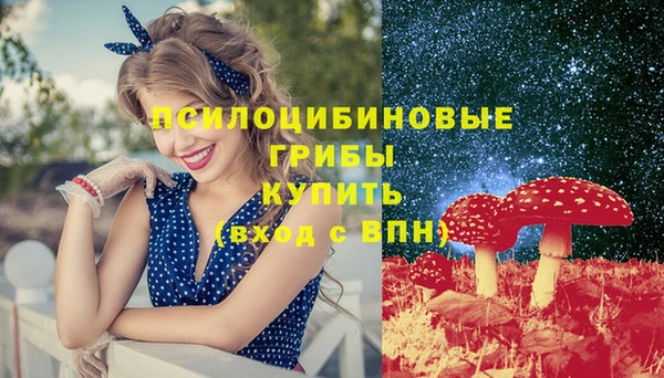 не бодяженный Иннополис