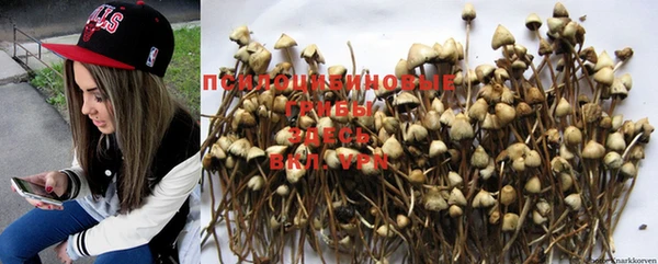 MDMA Premium VHQ Инта