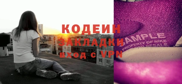 не бодяженный Иннополис