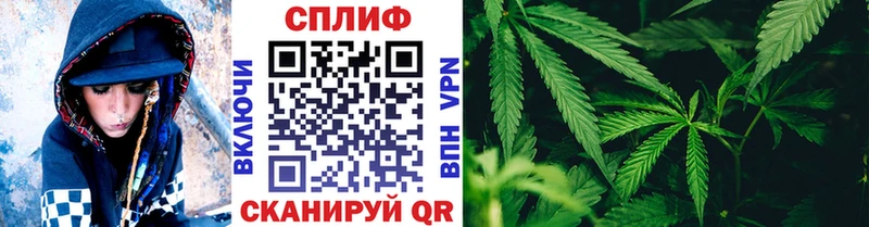 Купить где  Велиж  Бошки Шишки индика 